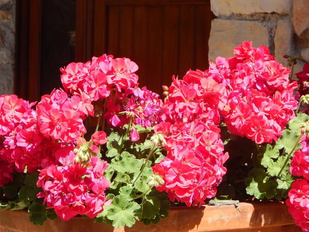 I Lecci Bed and Breakfast Lerici Exteriör bild