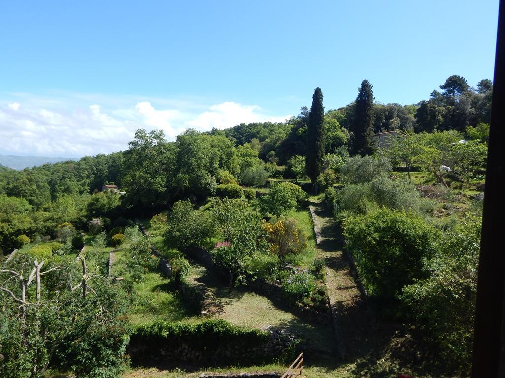 I Lecci Bed and Breakfast Lerici Exteriör bild