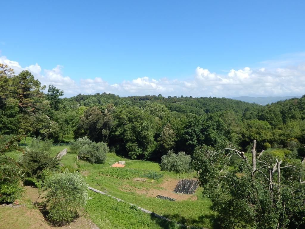 I Lecci Bed and Breakfast Lerici Exteriör bild