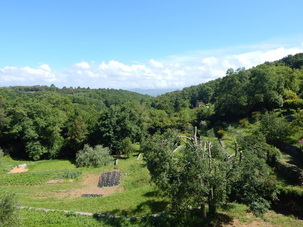I Lecci Bed and Breakfast Lerici Exteriör bild